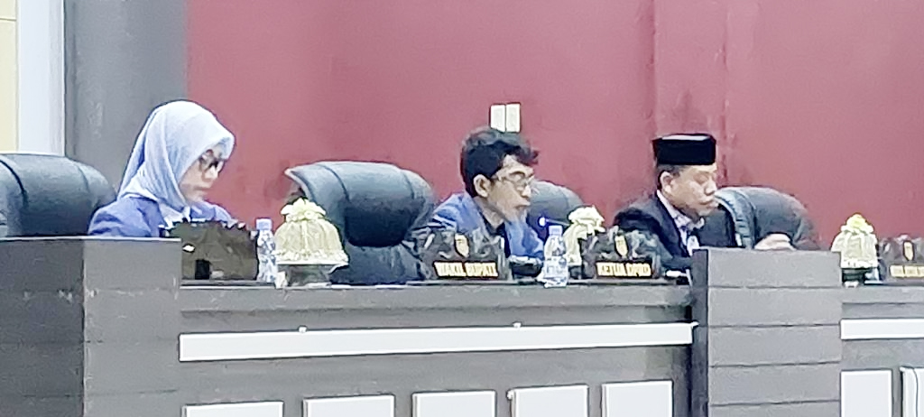 Rapat_Paripurna_Jamkesda-01_OK.jpg